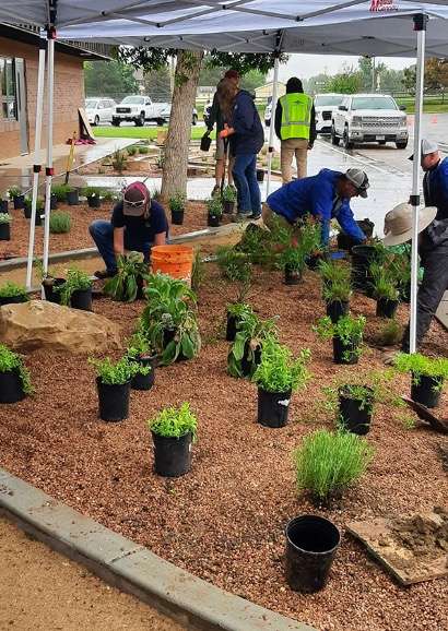 Creating a drought-resistant oasis through community partnerships and native landscaping